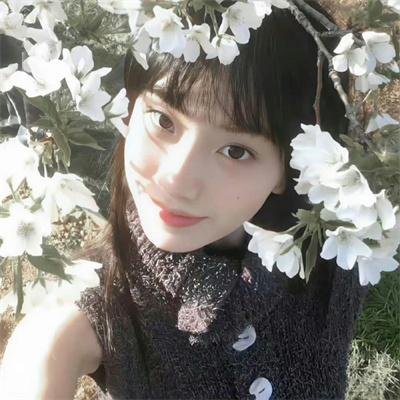 风流总统